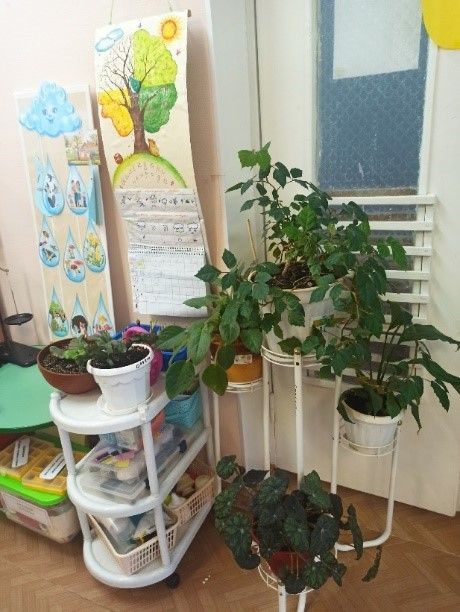 Центр трудовой деятельности 1.jpg