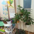 Центр трудовой деятельности 1.jpg