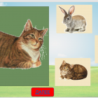 Снимок экрана ).png